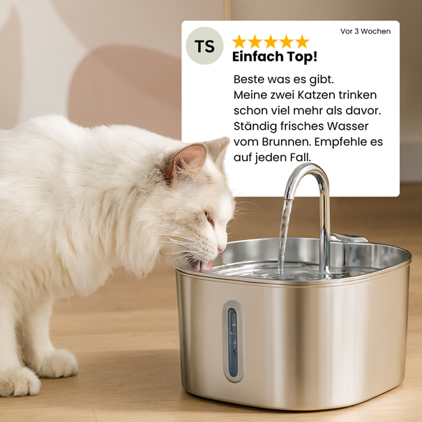 Foxypets Trinkbrunnen