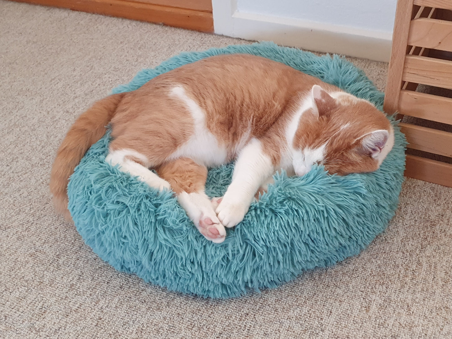 Foxypets Kuschelbett Katze